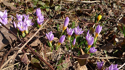 2010-03-05-1551.jpg