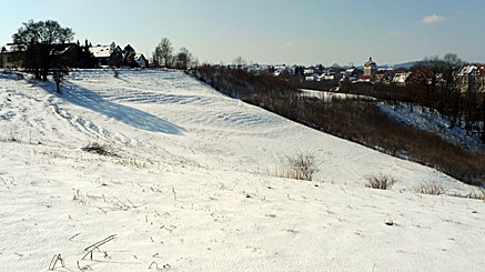 2010-03-07-1247.jpg