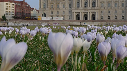 2010-03-25-1656.jpg