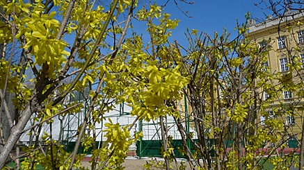 2010-03-29-1515.jpg