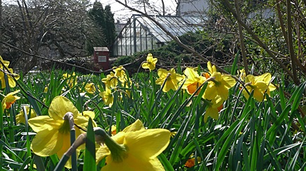2010-03-29-1518.jpg