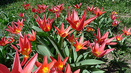 2010-03-29-1521.jpg