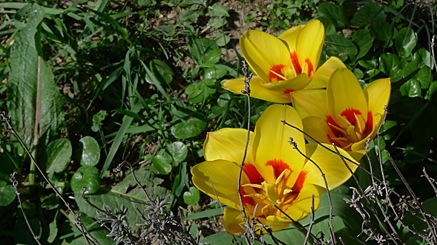 2010-03-29-1522.jpg