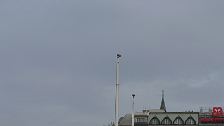 2010-03-30-0934.jpg