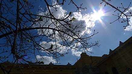 2010-04-01-1357b.jpg