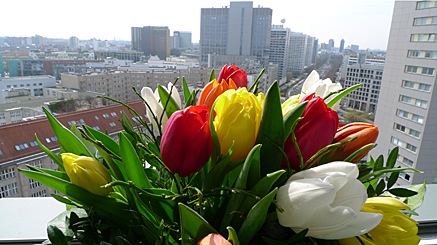 2010-04-08-1445.jpg