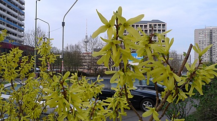 2010-04-08-1739.jpg