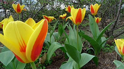 2010-04-08-1740.jpg