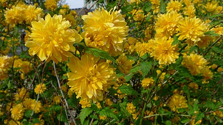 2010-04-29-1626.jpg