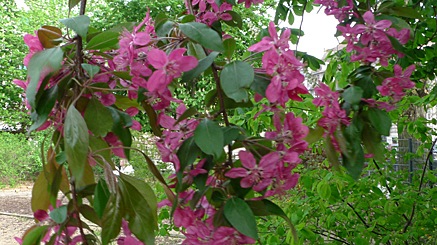 2010-04-29-1627.jpg