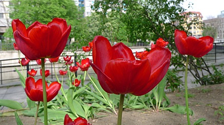 2010-04-29-1637.jpg