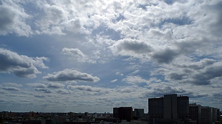 2010-05-16-1457.jpg