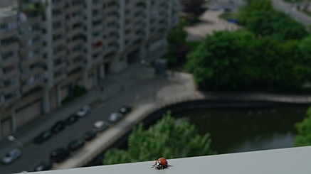 2010-05-21-1311.jpg