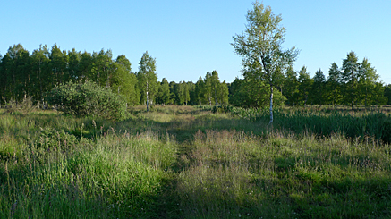 2010-06-27-1954.jpg