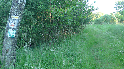 2010-06-27-2009.jpg