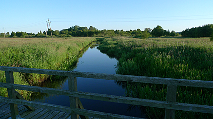 2010-06-27-2011.jpg