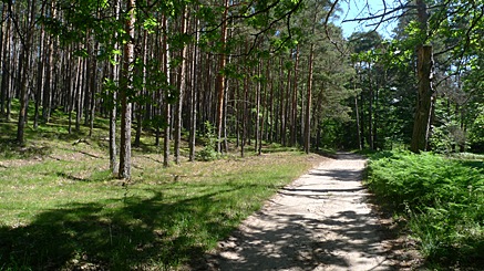 2010-06-28-1014.jpg