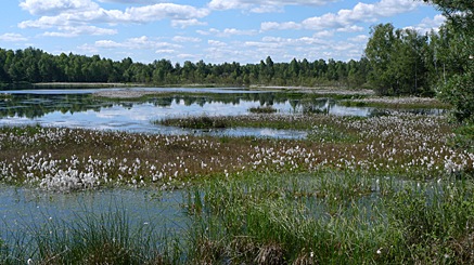 2010-06-28-1026.jpg