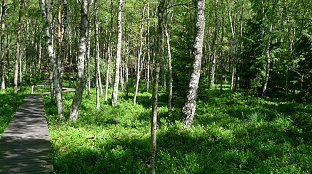 2010-06-28-1030.jpg