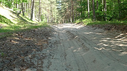 2010-06-28-1041.jpg