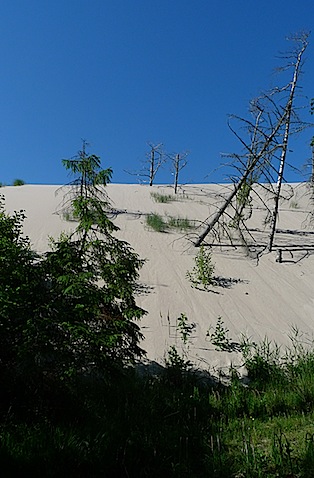 2010-06-28-1556b.jpg