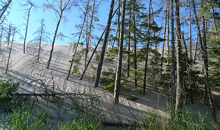 2010-06-28-1817.jpg