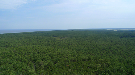 2010-06-30-1201.jpg