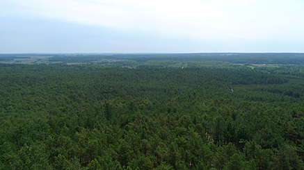 2010-06-30-1204.jpg