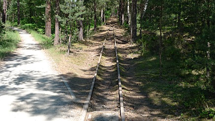 2010-07-04-1158.jpg