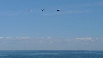 2010-07-04-1228.jpg