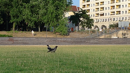 2010-07-21-1900.jpg