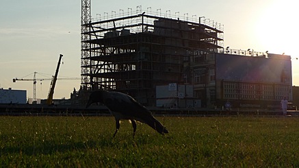 2010-07-21-2007.jpg