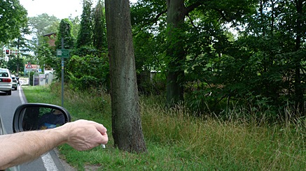 2010-08-01-1317.jpg