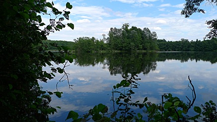 2010-08-01-1557.jpg