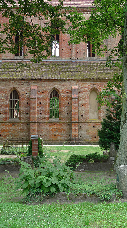 2010-08-01-1603.jpg