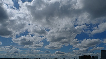 2010-08-16-1247.jpg