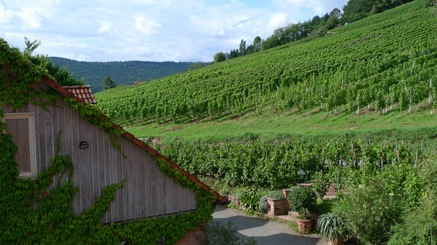2010-08-28-1629b.jpg