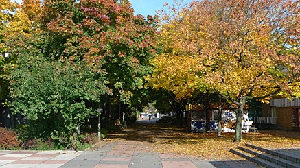 2010-10-17-1320.jpg