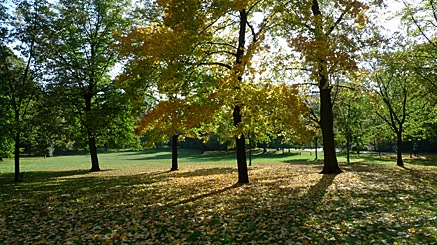 2010-10-17-1334.jpg