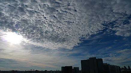 2010-11-14-1255.jpg