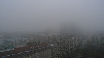 2010-11-18-1051.jpg