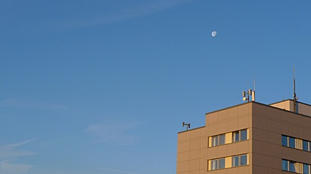 2010-11-25-0816.jpg