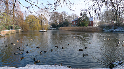 2010-11-27-1141.jpg