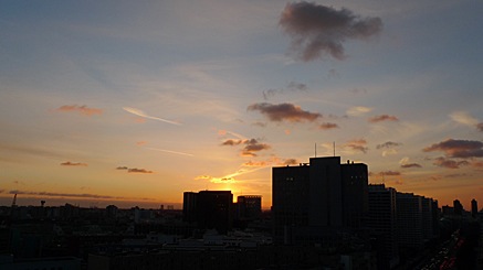 2010-11-30-1546.jpg