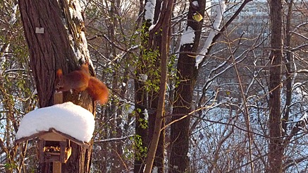 2010-12-18-1452.jpg