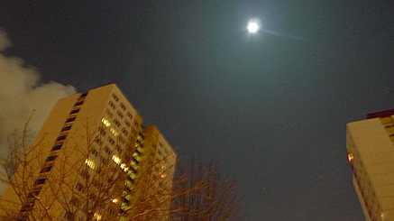 2010-12-21-0031.jpg