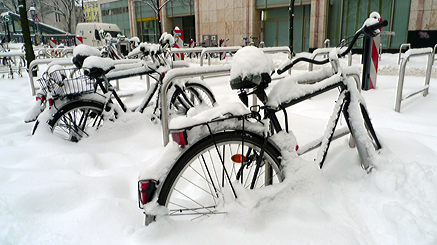 2010-12-29-1105.jpg