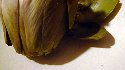 2010-12-31-2205.jpg