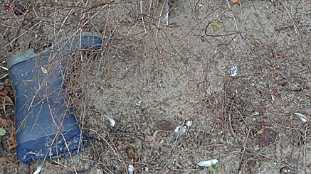 2011-01-28-1458.jpg