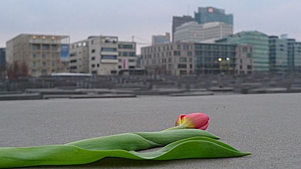 2011-01-28-1612.jpg
